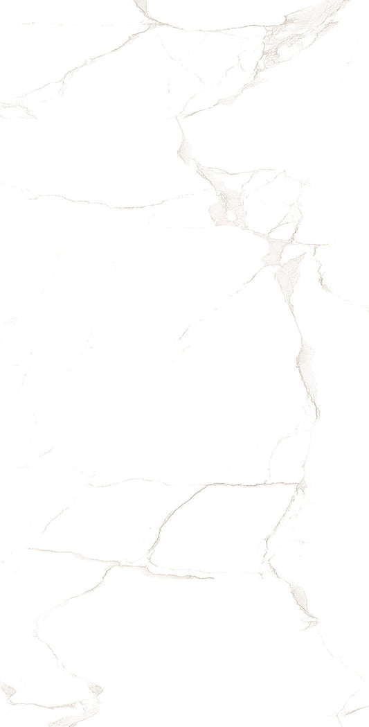 Renoz 24 X 48" Glossy Alcora Bianco Tile