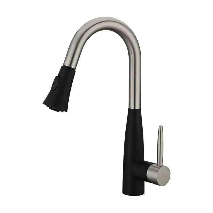 Kodaen Davison Pull-Down Dual Spray Kitchen Faucet F23113