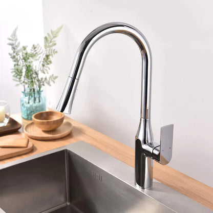 Kodaen Timelyss Pull-Down Dual Spray Kitchen Faucet F23134