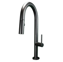 Kodaen Elegante Pull-Down Dual Spray Kitchen Faucet F23304