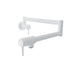 Baril Single Hole Wall-mounted Pot Filler (UNICK)